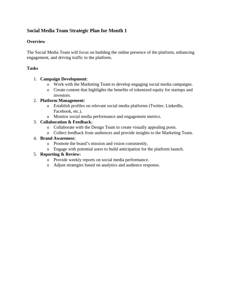 Social Media Team Strategic Plan For Month 1 | PDF