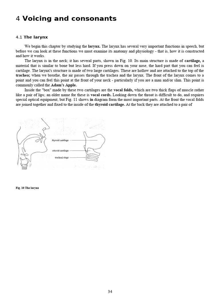Sách Phonetics and Phonology-34-42 | PDF | Larynx | Consonant