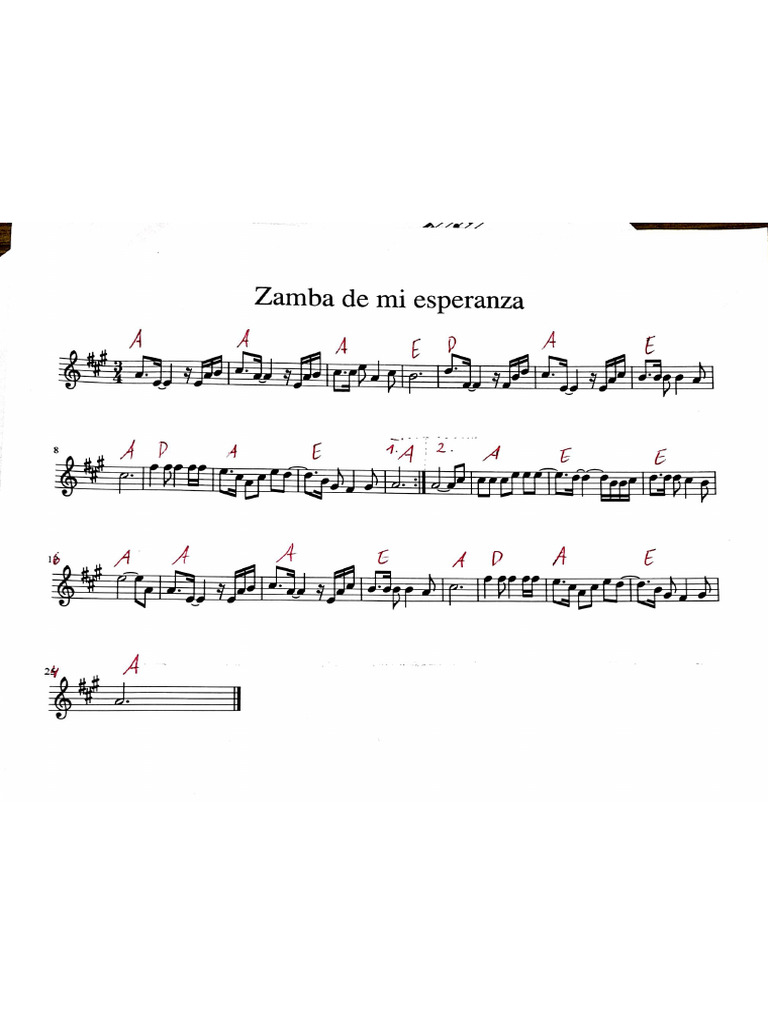 Carré Soie - ANFISA