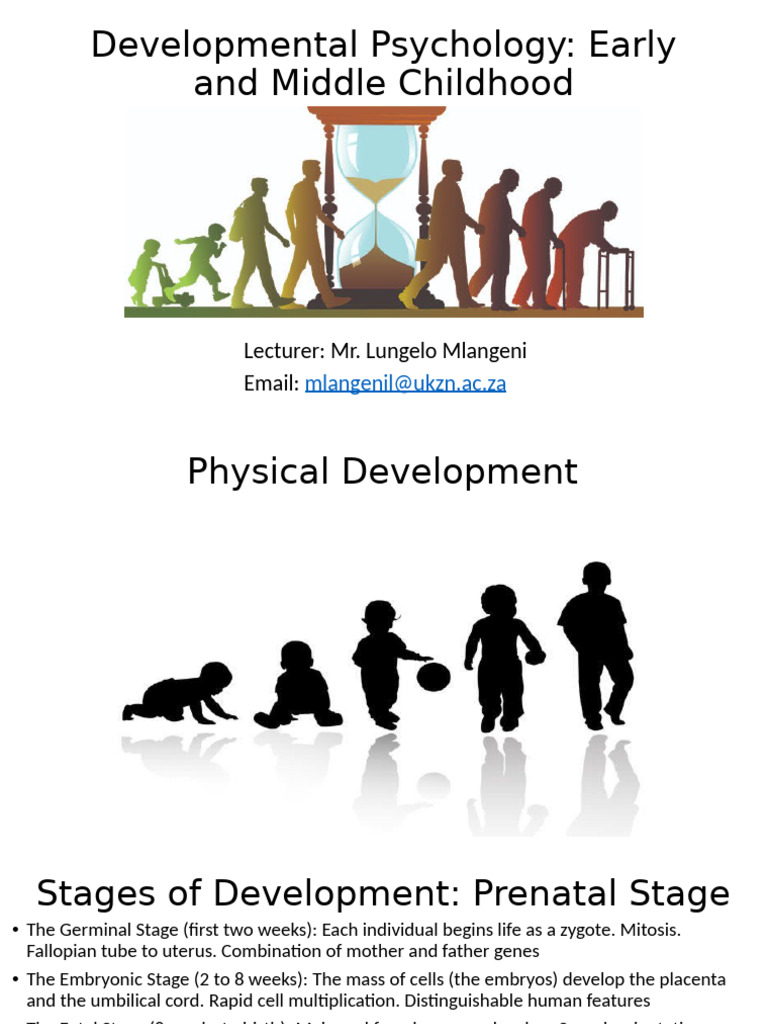 Early and Middle Childhood Developmental Psychology | PDF | Attachment ...