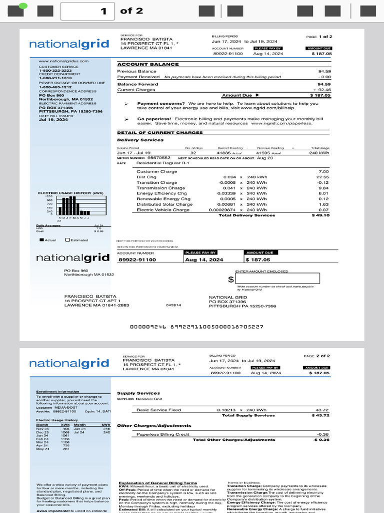 National Grid Billing Summary 2024 | PDF | Electric Power Transmission ...
