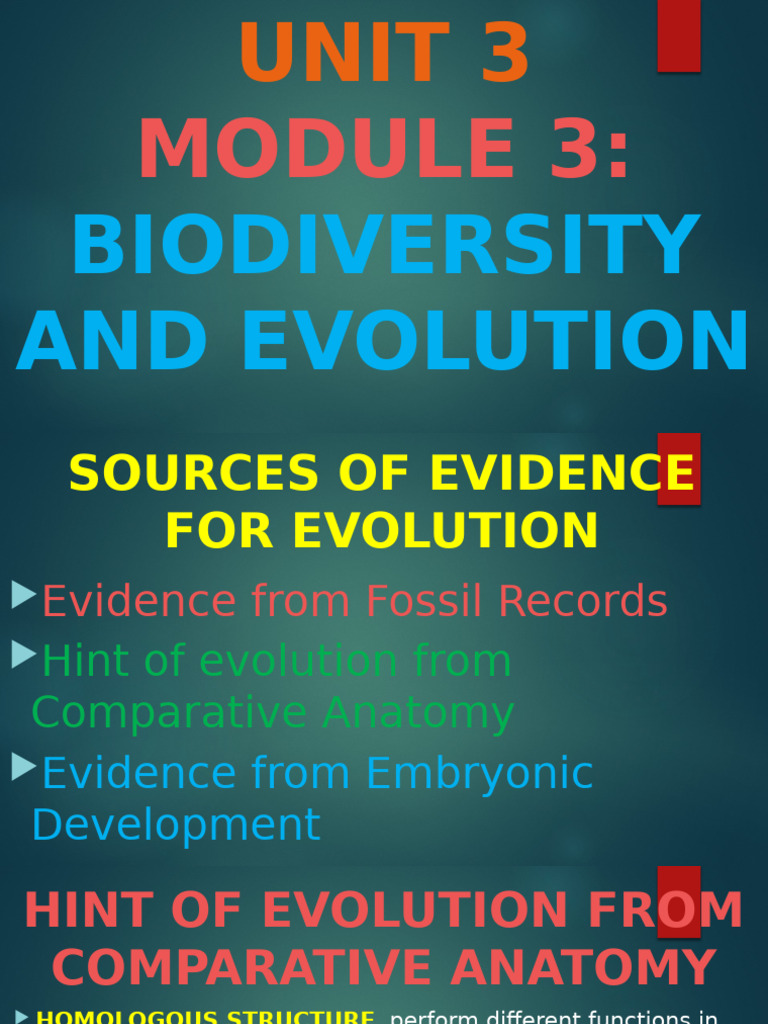 Evidence of Evolution and Biodiversity | PDF | Homology (Biology ...