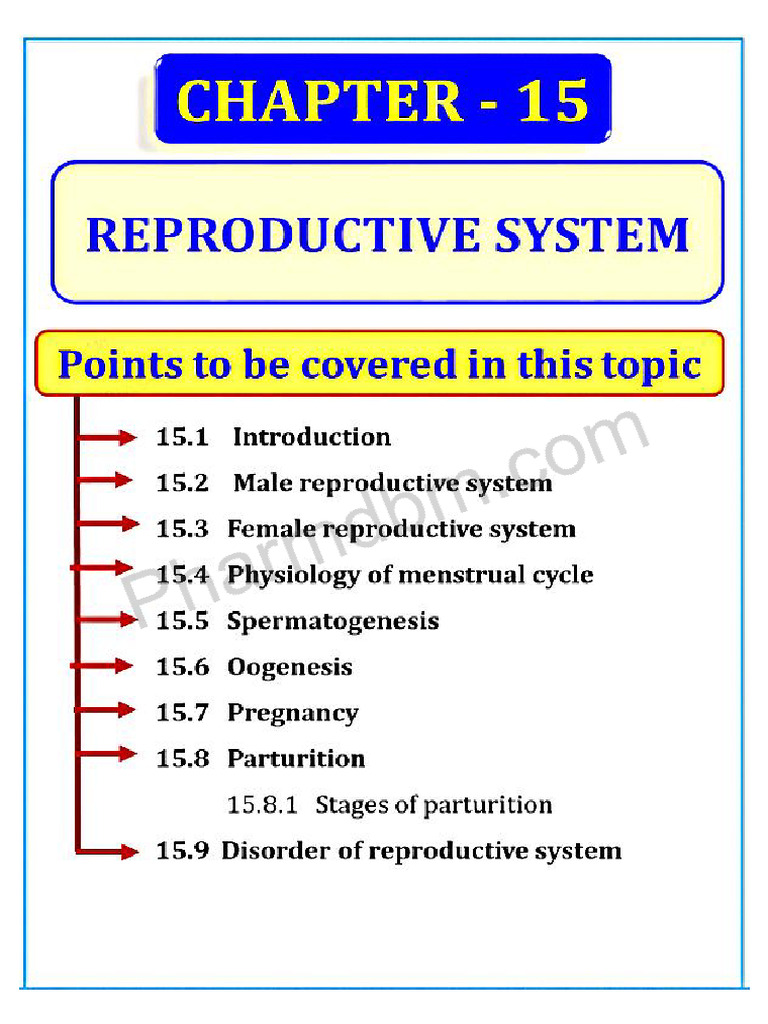 Human Anatomy And Physiology Chapter 15 Pdf