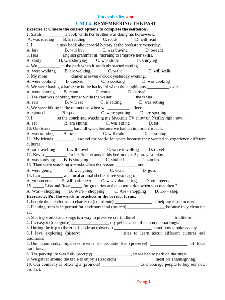 Unit 4 Grammar Exercises | PDF