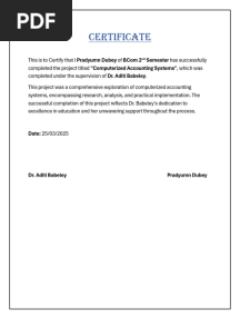computerized accounting Project File