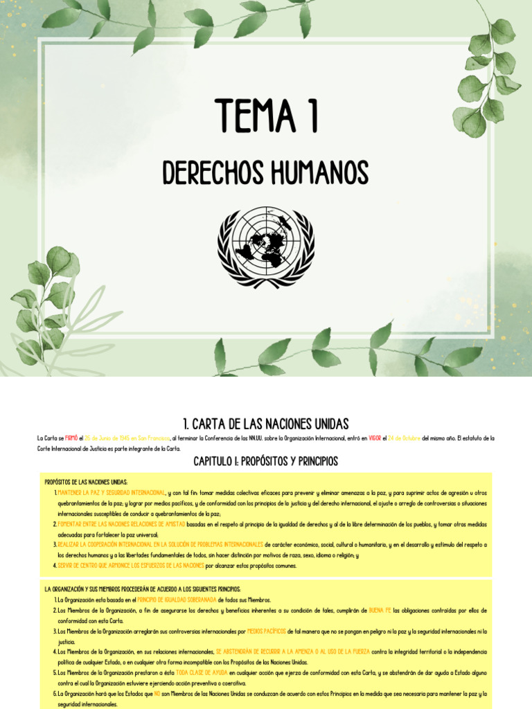 Derechos Humanos y Principios de la ONU | PDF | Naciones Unidas ...