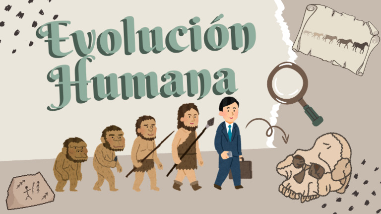 The Evidence For Evolution Education Presentation in Light Blue Style ...