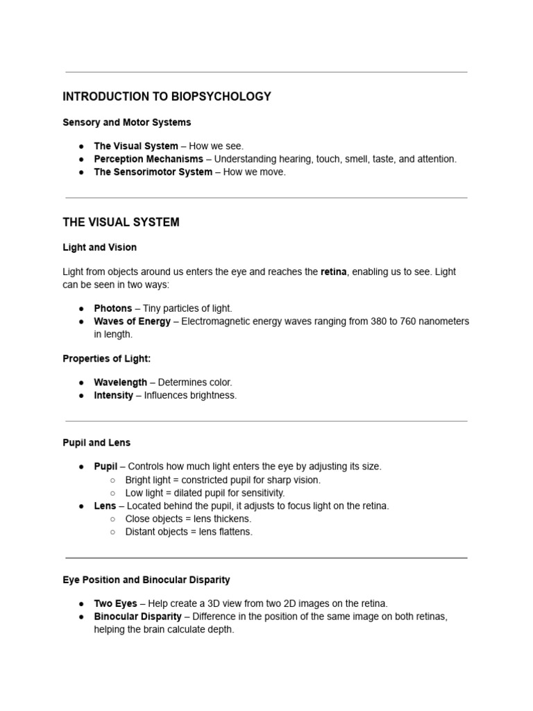 Inbound 4672500155942975883 | PDF | Retina | Visual System