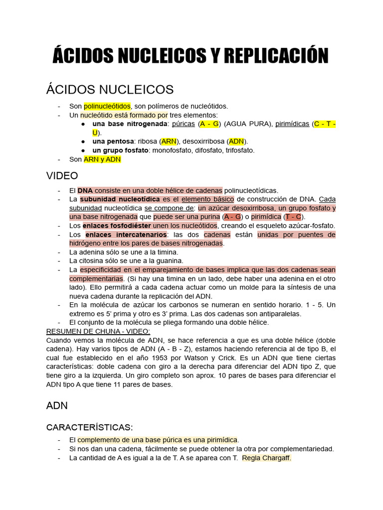 S09 - Ácidos Nucleicos y Replicación | PDF | Adn | Replicación De Adn