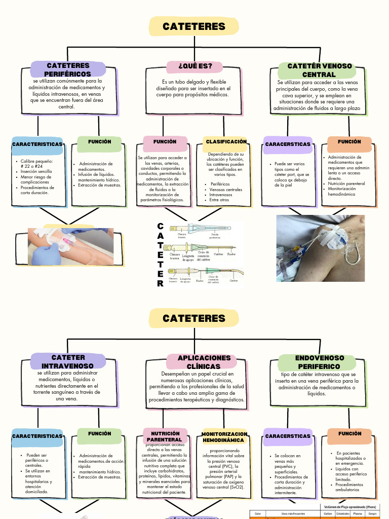Clasificación y funciones de catéteres | PDF | Terapia intravenosa ...