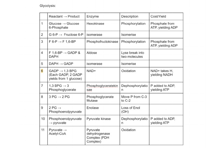 Enzymes of Glycolysis | PDF