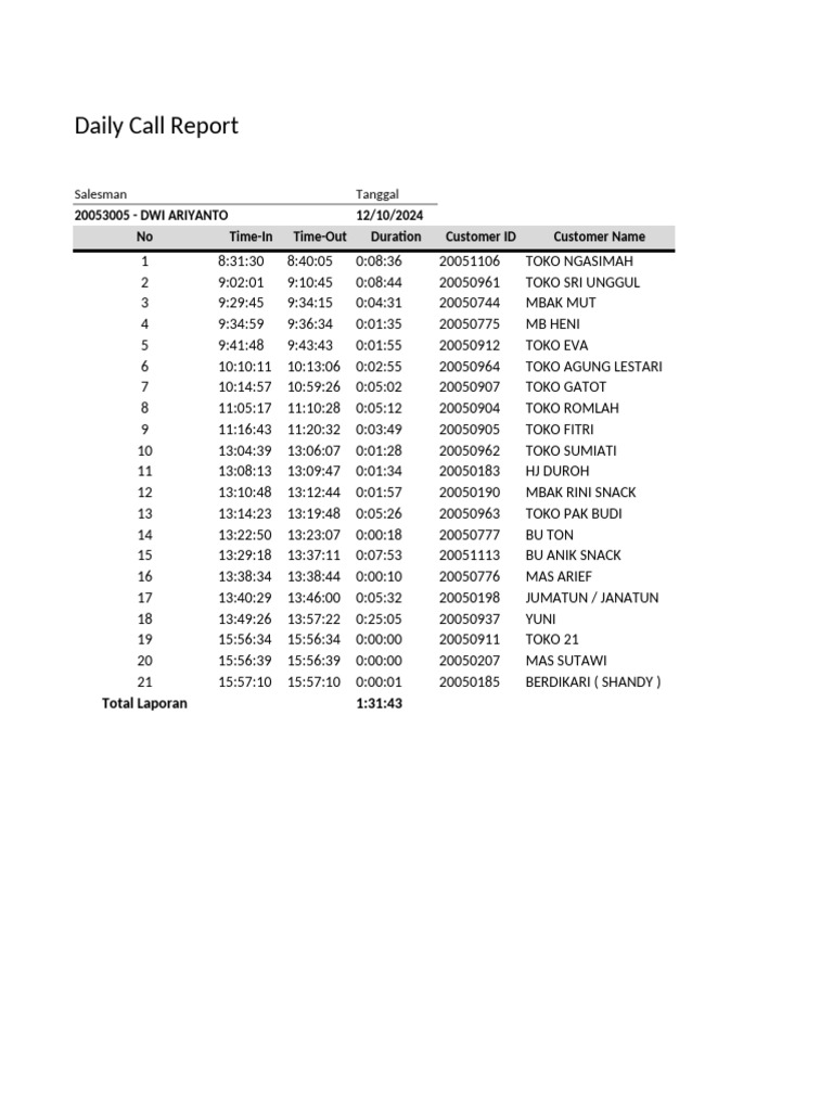 Daily Sales Call Report Summary | PDF