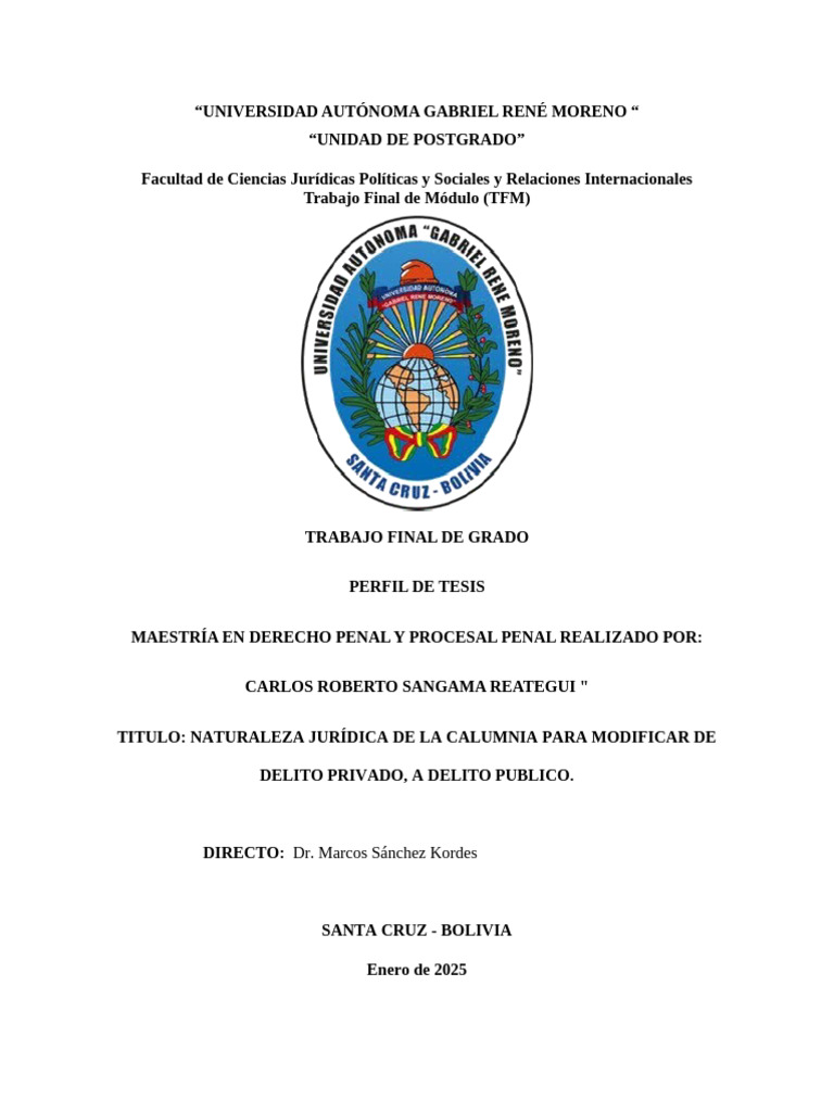 Calumnia: Delito Privado a Público | PDF | Derecho penal | Difamación