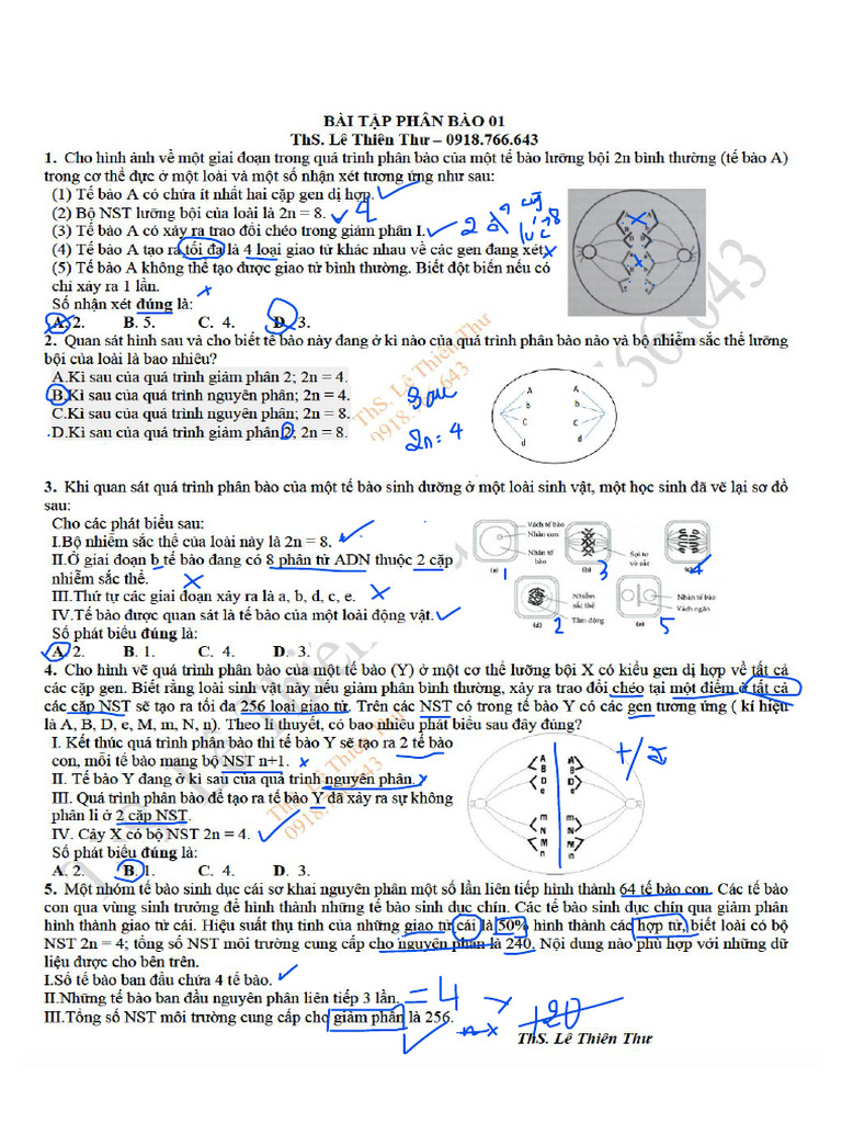 1 Bã I Táº P Phã N Bã O 01 Pdf