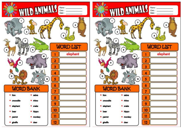 Activity - Wild Animals | PDF