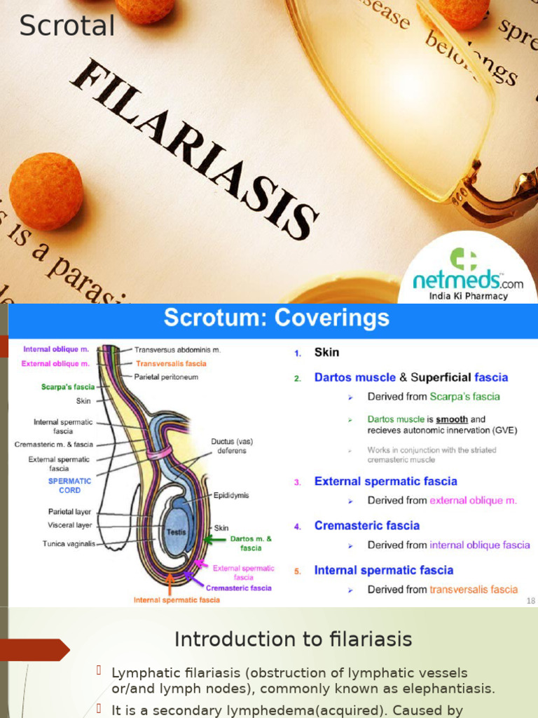 Scrotal Filariasis: Causes, Symptoms, and Treatment | PDF