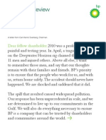 BP Summary Review 2010