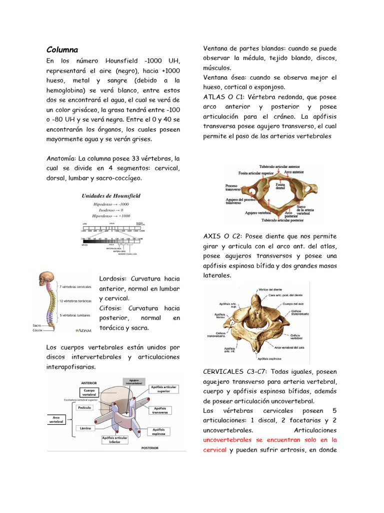 Clasificación de Nash y cambios en columna | PDF | La columna vertebral ...