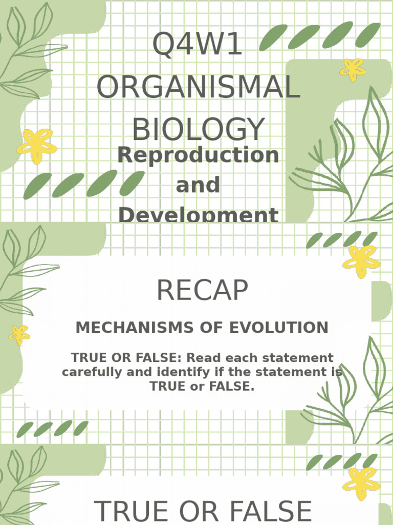 Reproduction and Development Overview | PDF | Fertilisation | Reproduction