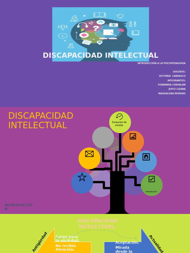 Psicopedagogía y Discapacidad Intelectual | PDF | Invalidez ...
