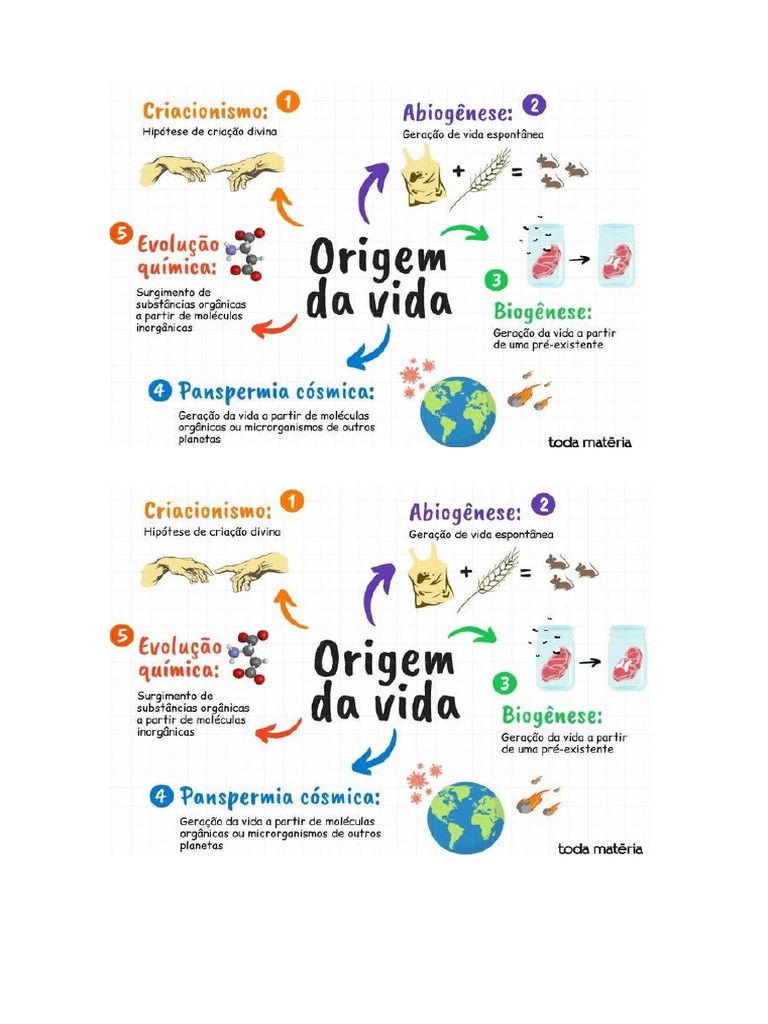 Mapa Mental Origem Da Vida | PDF