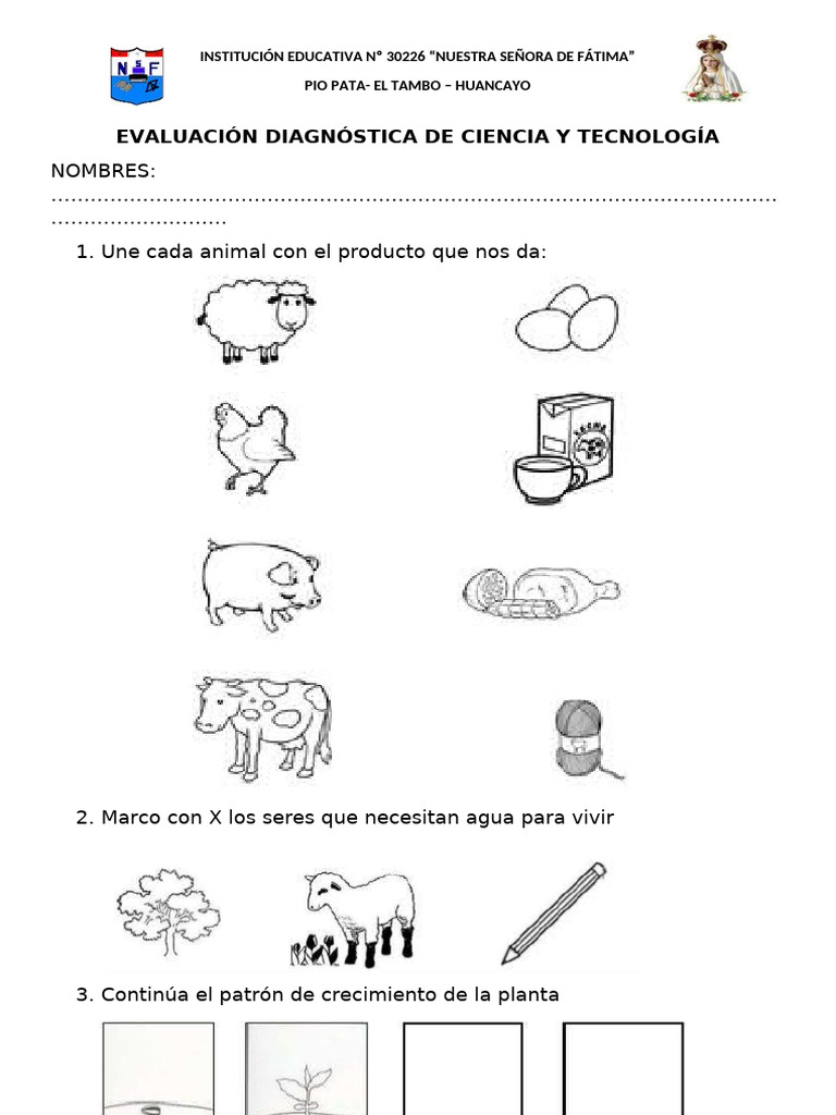 Evaluación Diagnostica Ciencia y Tecnología Primer Grado | PDF