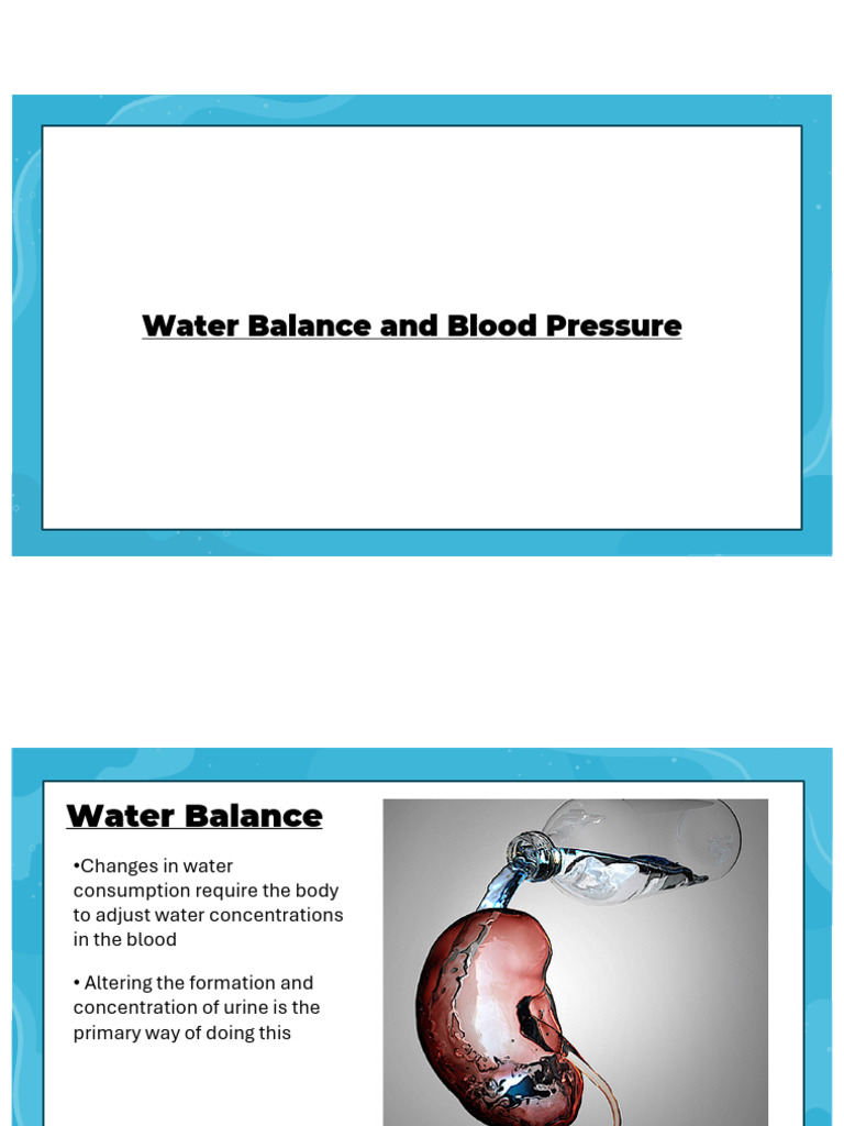 Blood pressure and Water balance | PDF