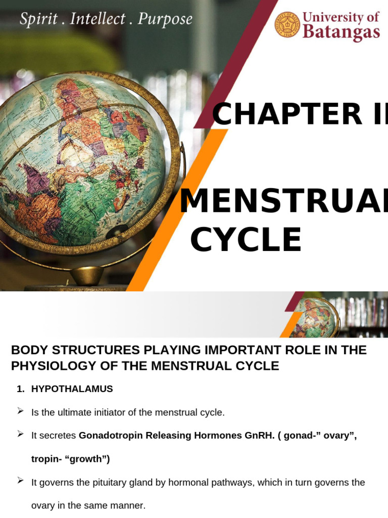 2.menstrual Cycle New | PDF | Menstrual Cycle | Luteinizing Hormone