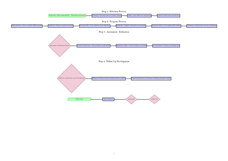 MEFM Program Selection and Process Guide | PDF