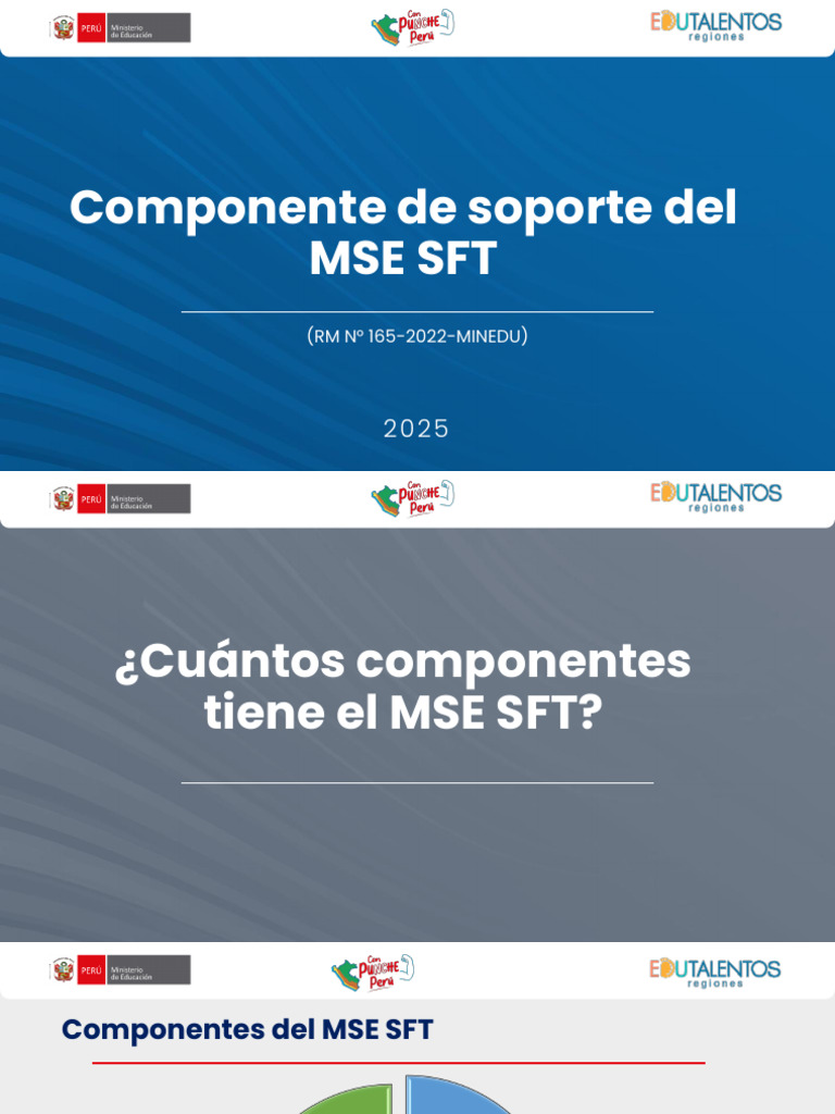 Componente de Soporte MSE SFT 2025 | PDF | Diseño | Enseñando