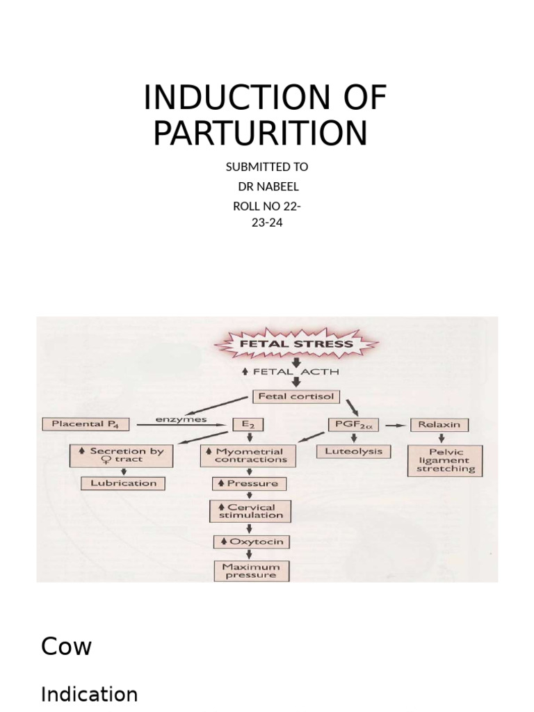 Stilboestrol Use in Canine Parturition | PDF | Childbirth | Fetus
