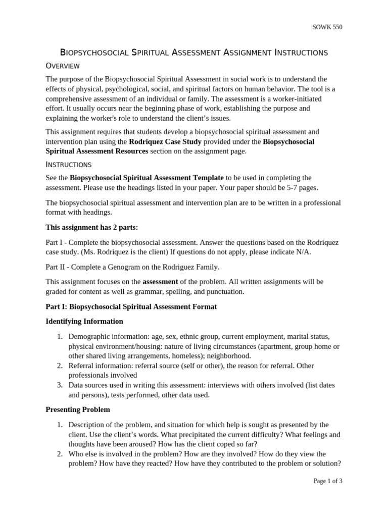 Biopsychosocial Spiritual Assessment Guide | PDF | Mental Health ...