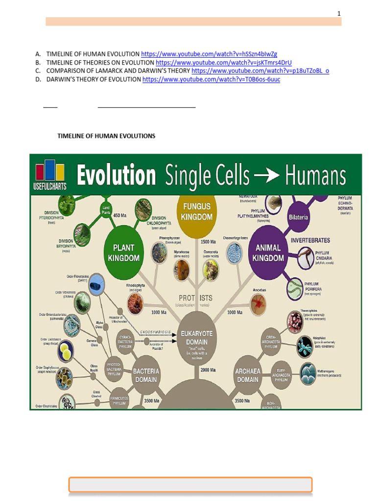 Darwinian Revolution | PDF | Charles Darwin | Natural Selection