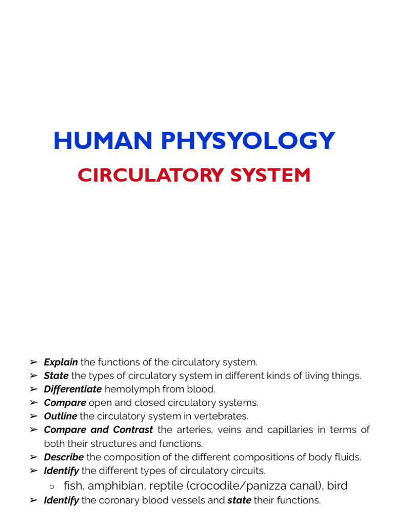 Overview of the Human Circulatory System | PDF | Heart | Heart Valve