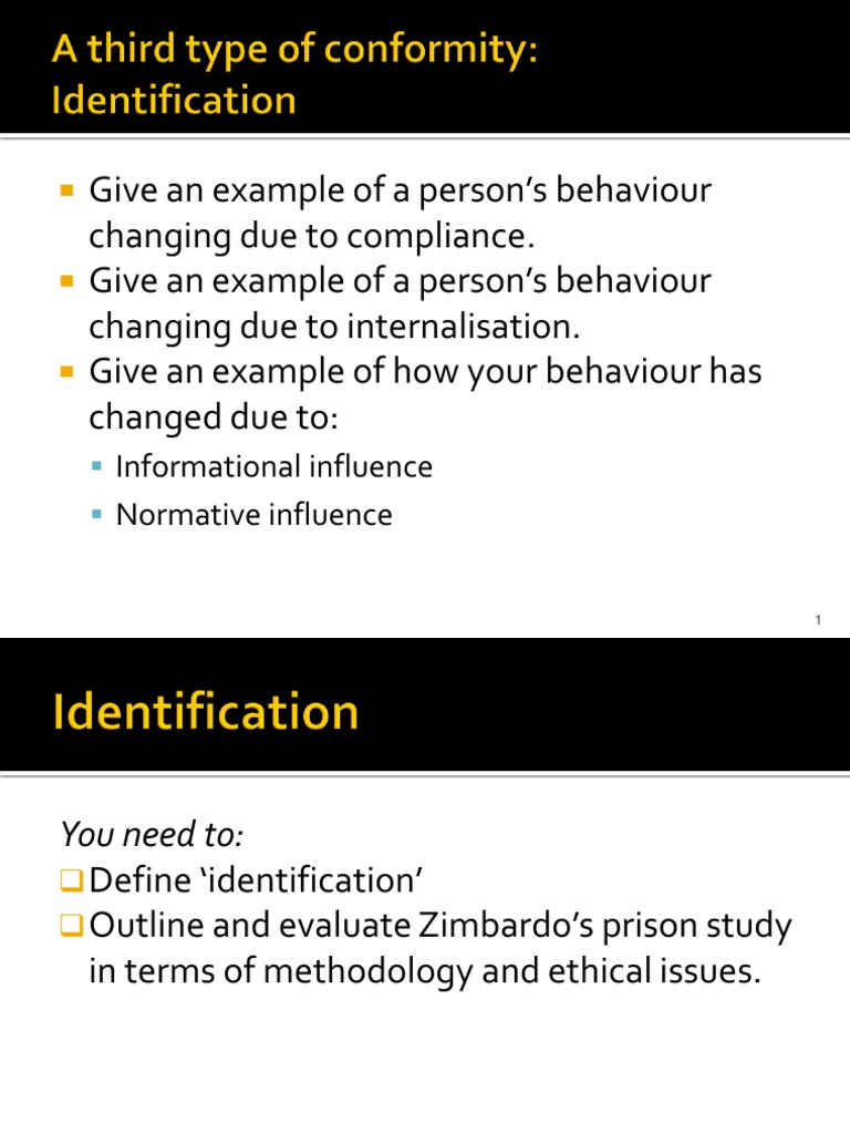 03 Identification 2010 | PDF | Conformity | Behavior