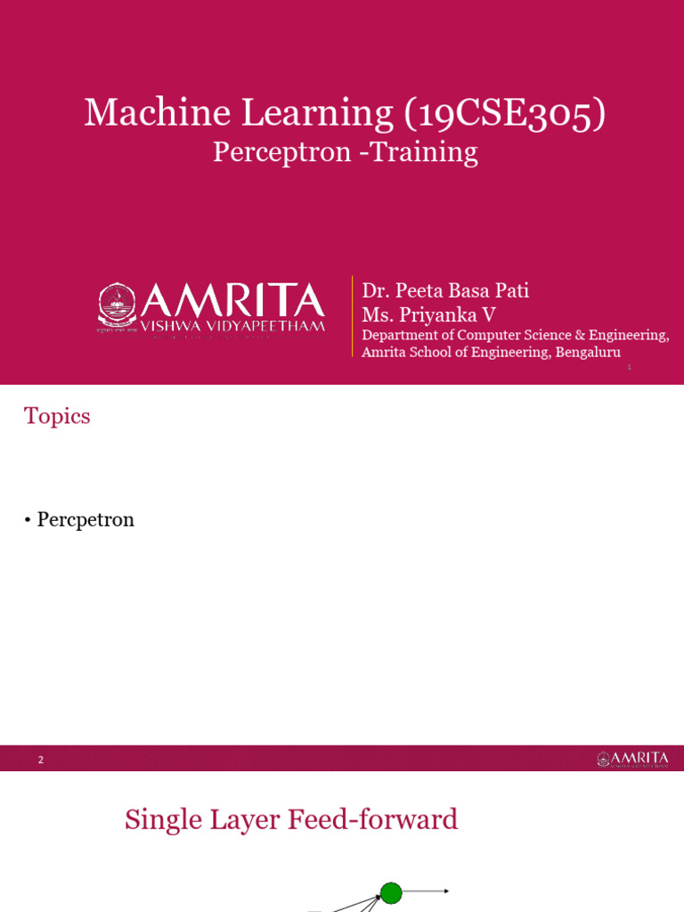 Perceptron Training for Binary Classification | PDF