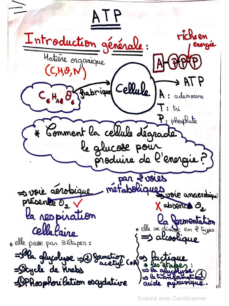 SVT ATP | PDF