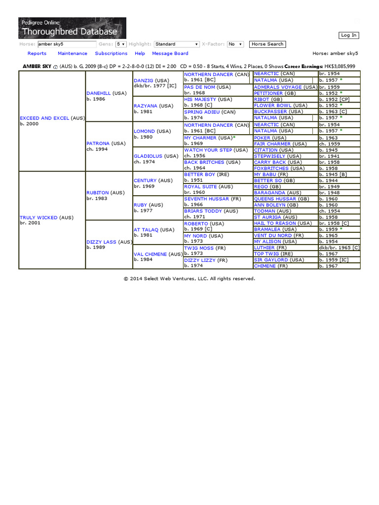 Amber Sky Horse Profile and Pedigree PDF Thoroughbred Families