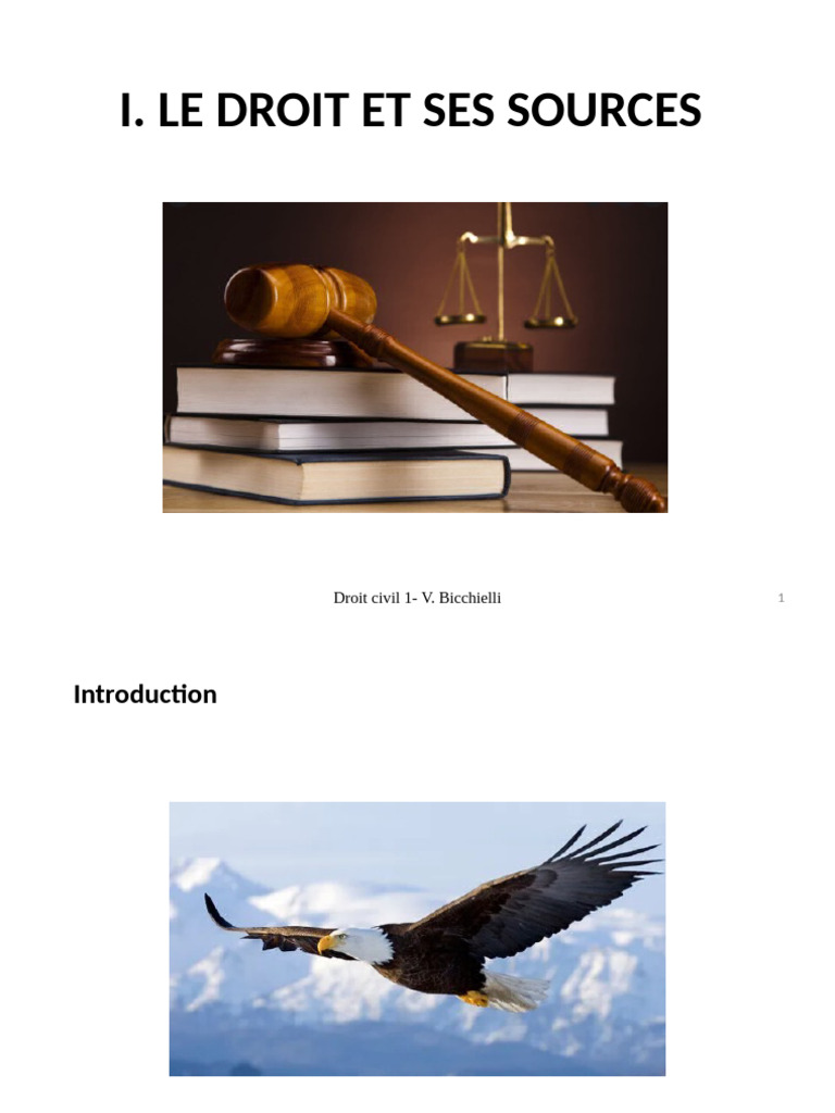 Sources et principes du droit civil | PDF | Loi | Constitution