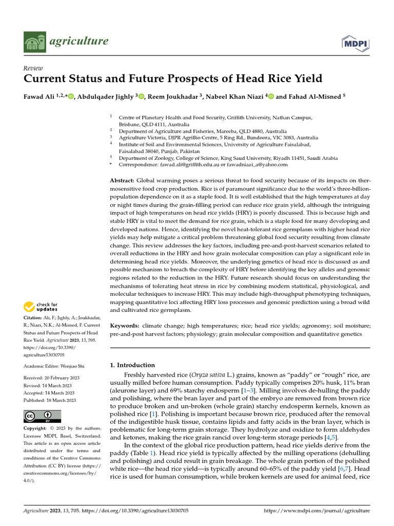 Current Status and Future Prospects of Head Rice Y | PDF | Rice | Starch