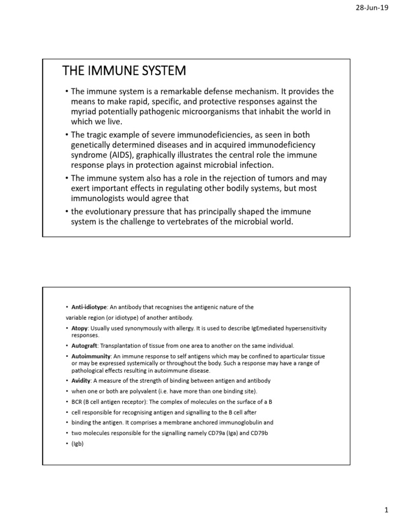 Overview of the Immune System | PDF | Antibody | Immune System