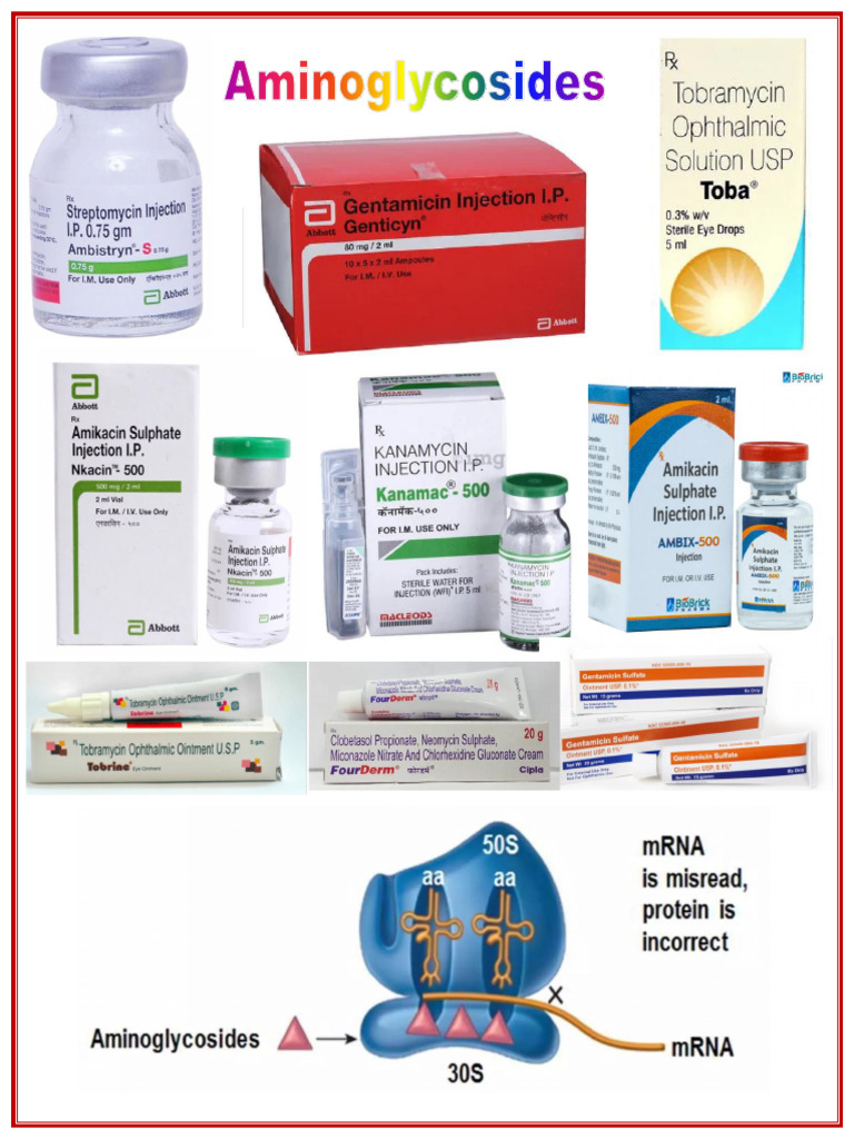 Aminoglycosides (2) - 053524 | PDF