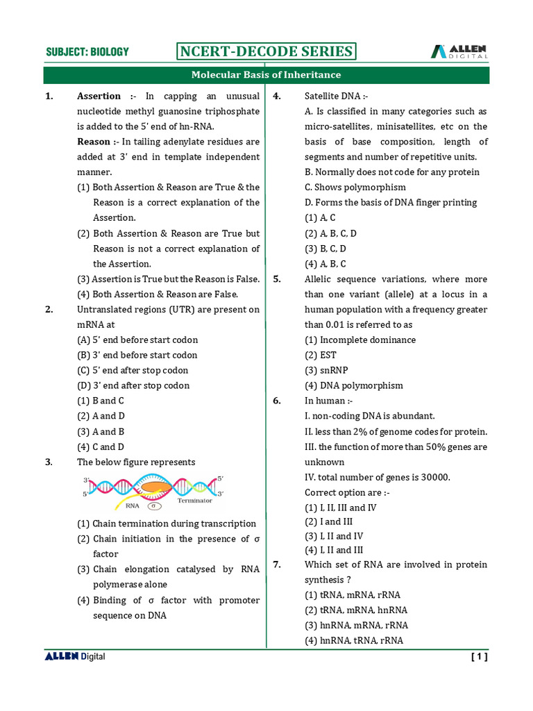 Molecular Basis of Inheritance 2-25-09 2023 | PDF | Translation ...
