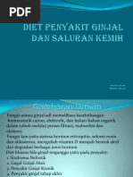 Download Diet Penyakit Ginjal Dan Saluran Kemih by Fitri Sari SN84264939 doc pdf