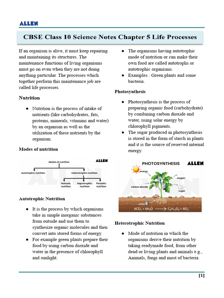 cbse+class+10+science+notes+chapter+5+life+processes | PDF | Nutrition ...