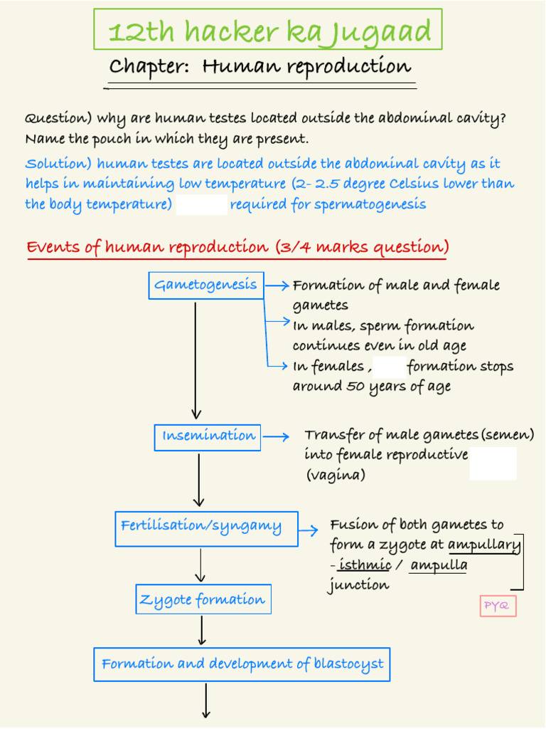 Chapter: Human Reproduction | PDF | Menstrual Cycle | Luteinizing Hormone