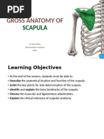 Posterior View of Scapula Anatomy | PDF | Limbs (Anatomy ...