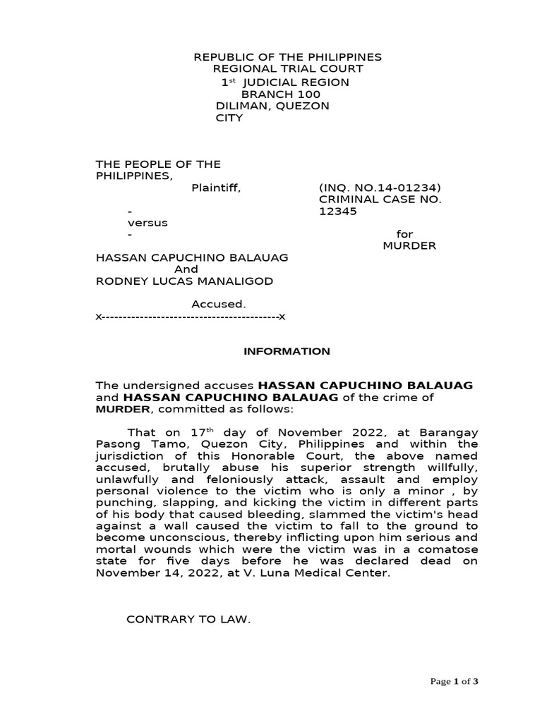 Affidavit of Information-Murder | PDF
