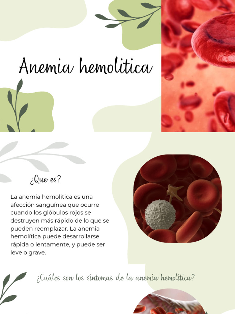Anemia Hemolítica: Causas y Tratamiento | PDF | Sangre | Anemia