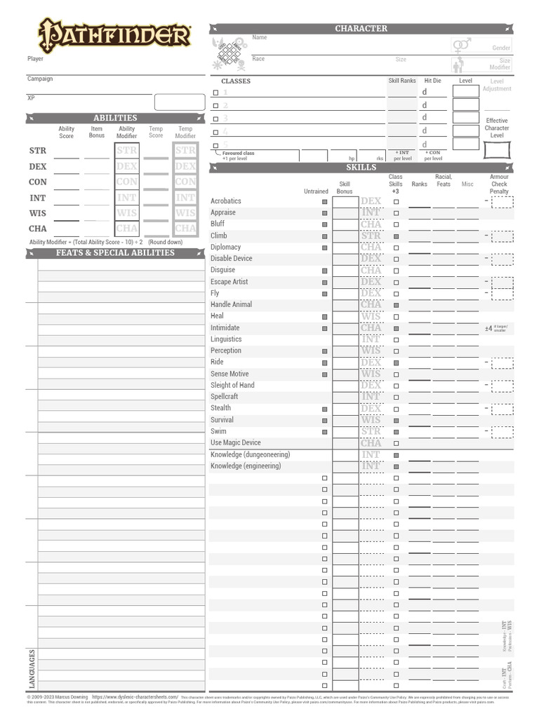 Pathfinder Character Sheet Guide | PDF | D20 System
